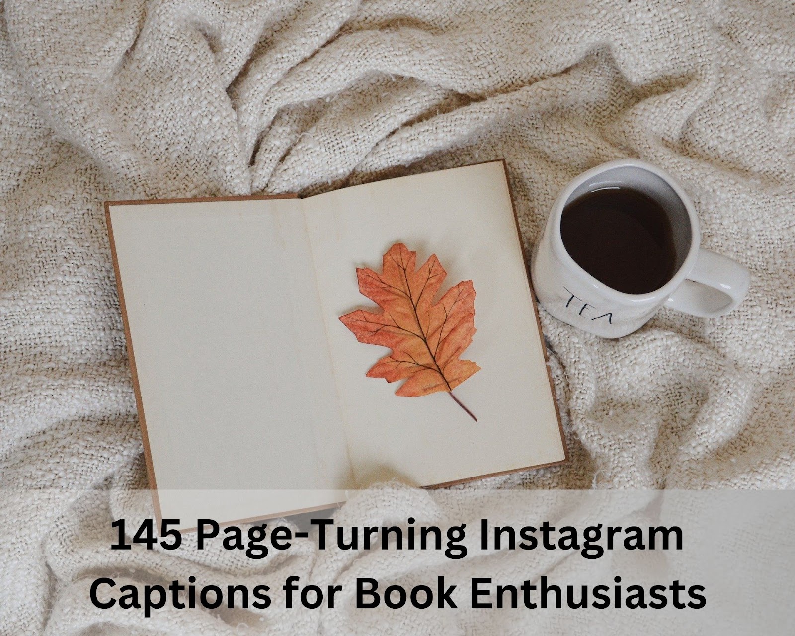 145 Page-Turning Instagram Captions for Book Enthusiasts