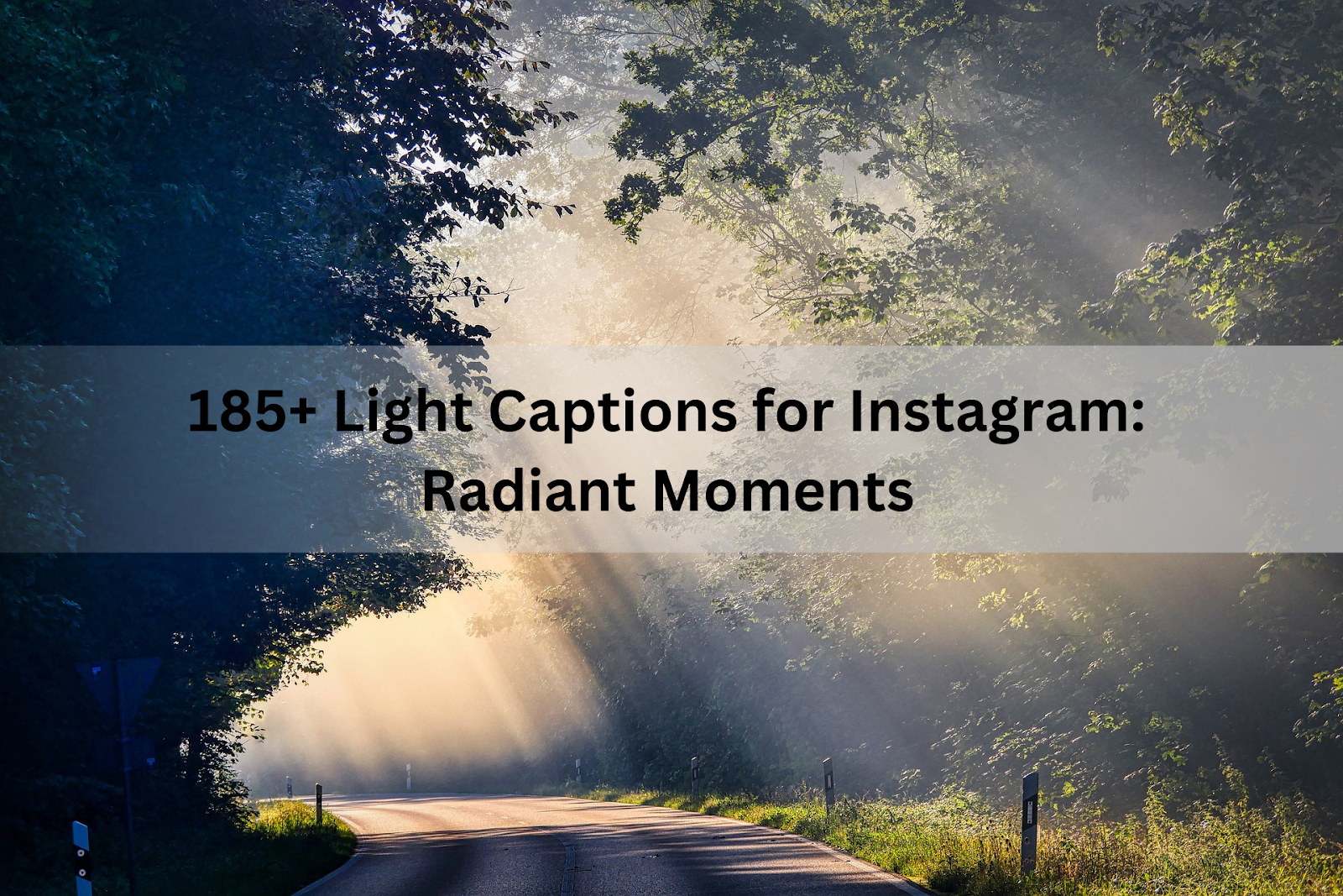 185+ Light Captions for Instagram: Radiant Moments