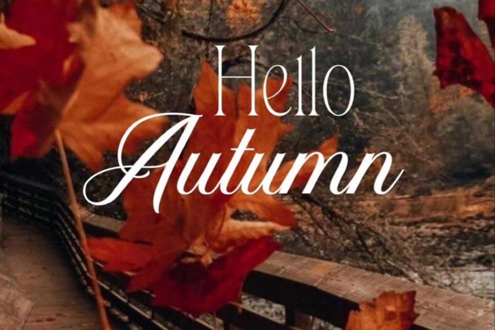 350 Cozy Autumn Quotes That’ll Warm Your Soul